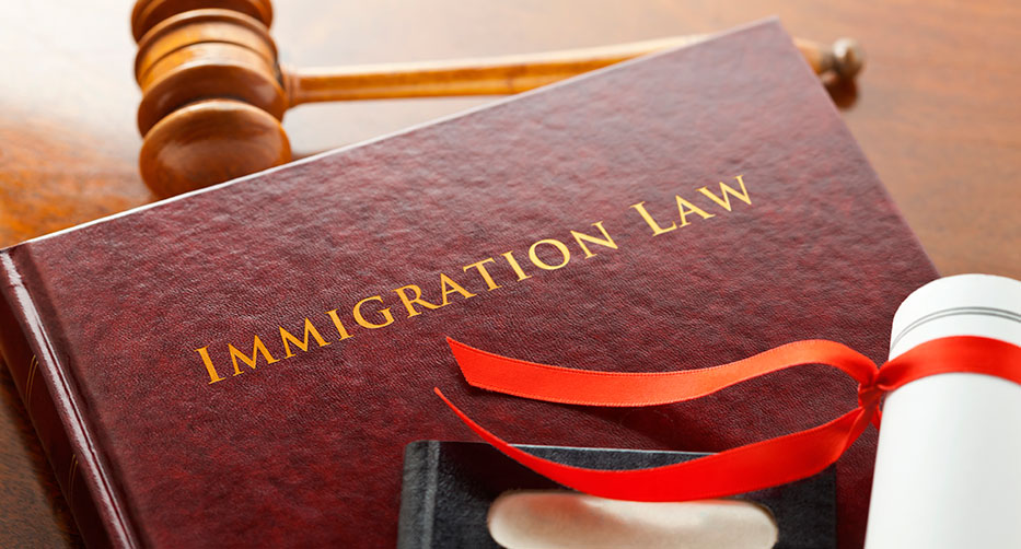 6 Important Immigration Laws in the USA
